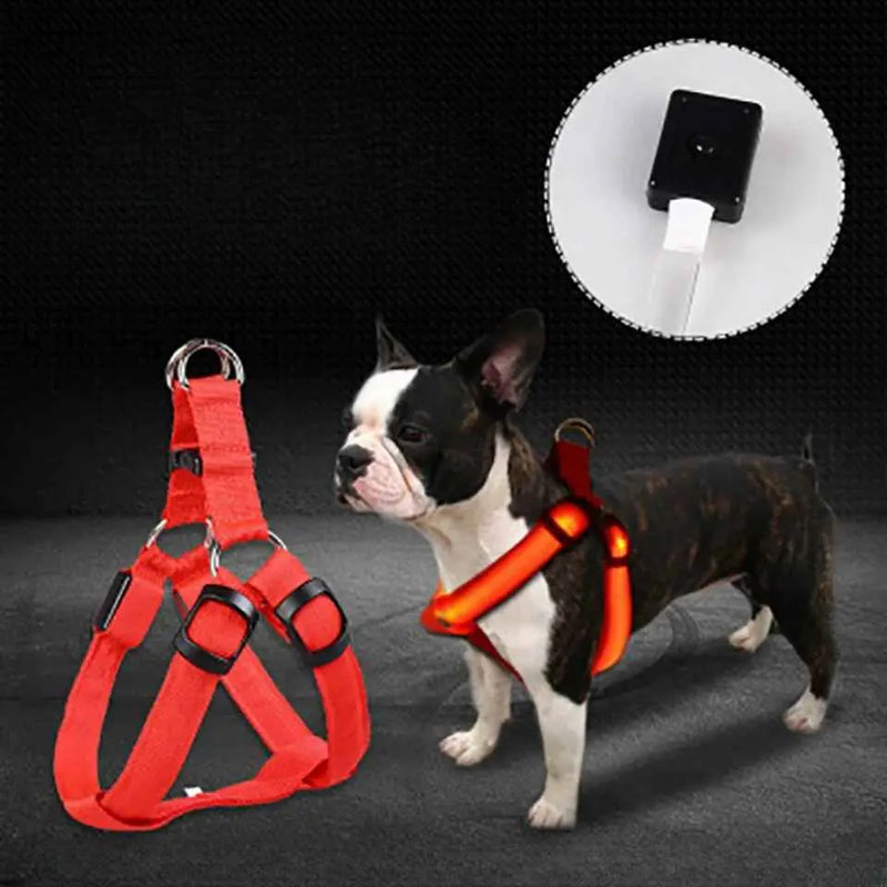 Coleira LED para Cães Tangorila
