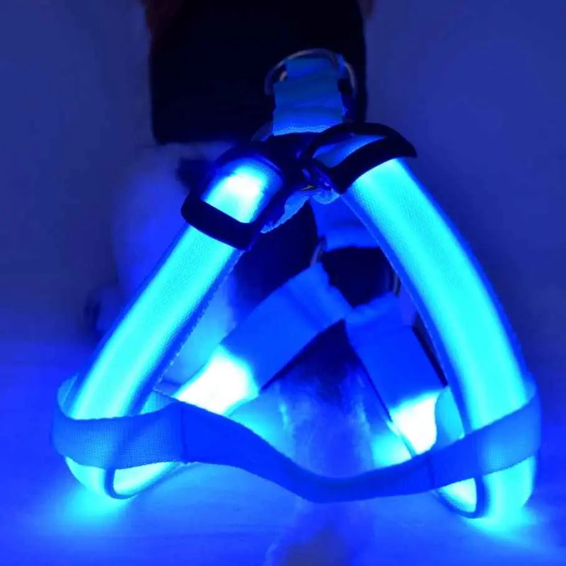 Coleira LED para Cães Tangorila