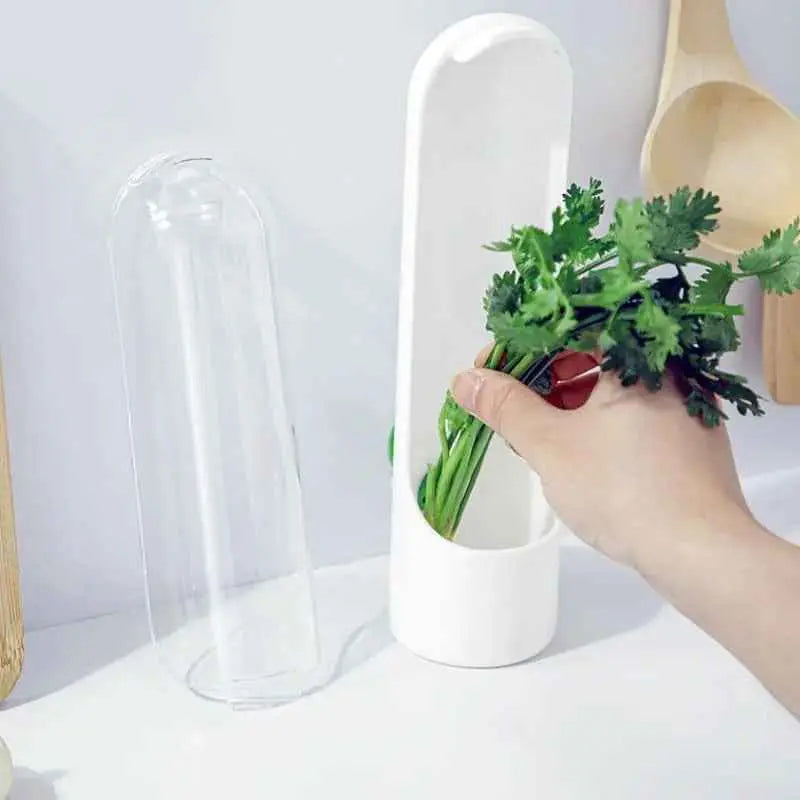 Conservador de Temperos Verduras EverFresh