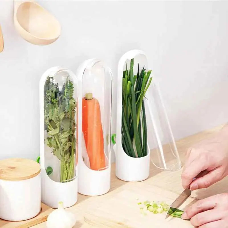 Conservador de Temperos Verduras EverFresh