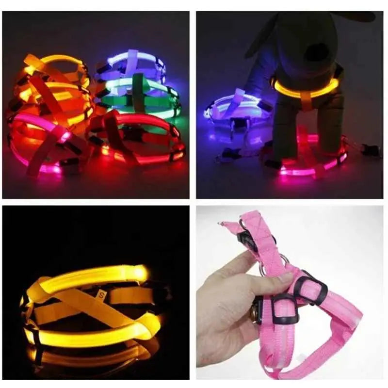 Coleira LED para Cães Tangorila