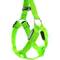 Coleira LED para Cães Tangorila