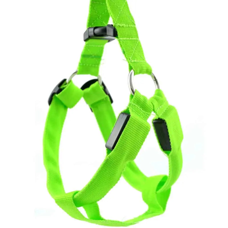 Coleira LED para Cães Tangorila