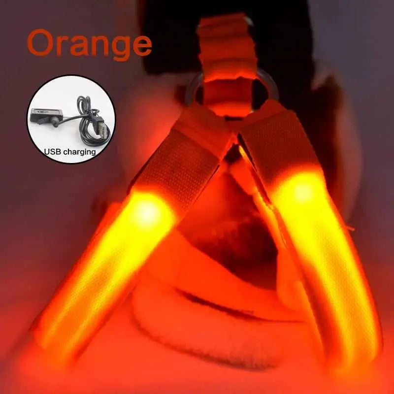 Coleira LED para Cães Tangorila