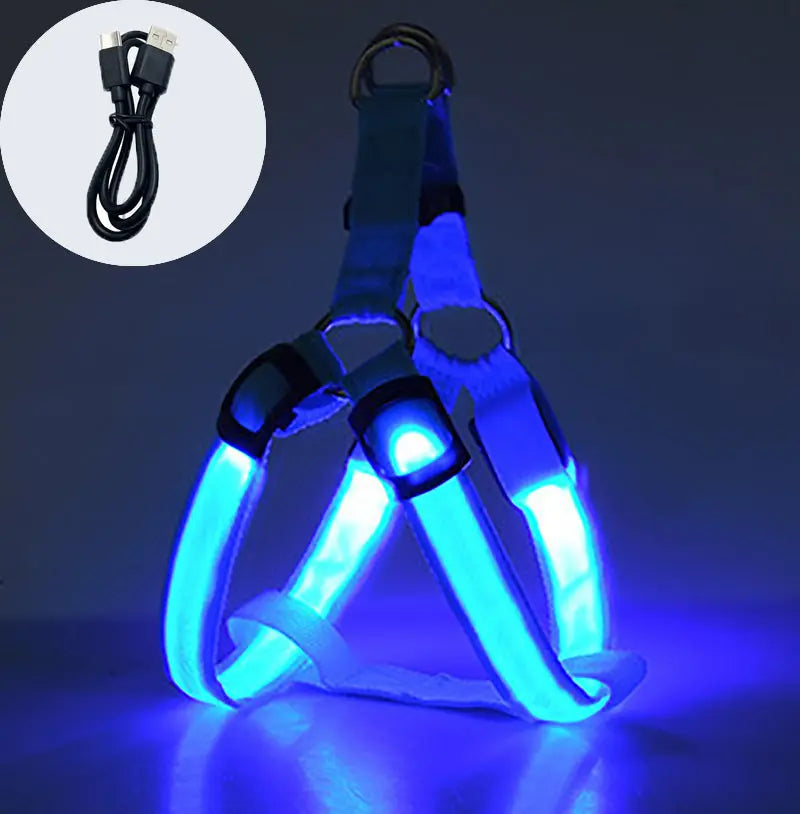 Coleira LED para Cães Tangorila