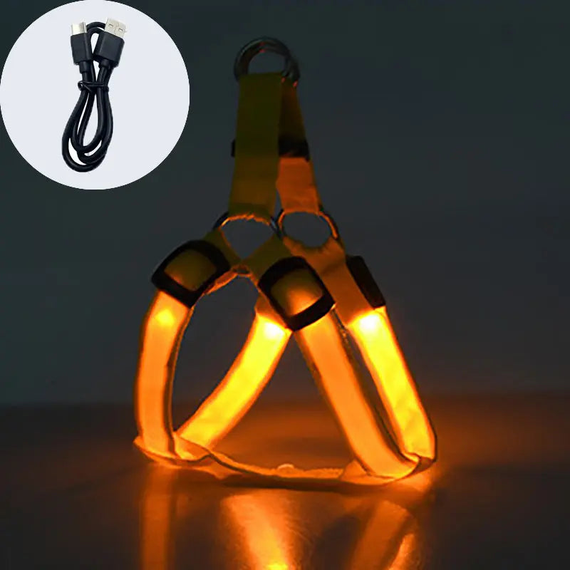 Coleira LED para Cães Tangorila