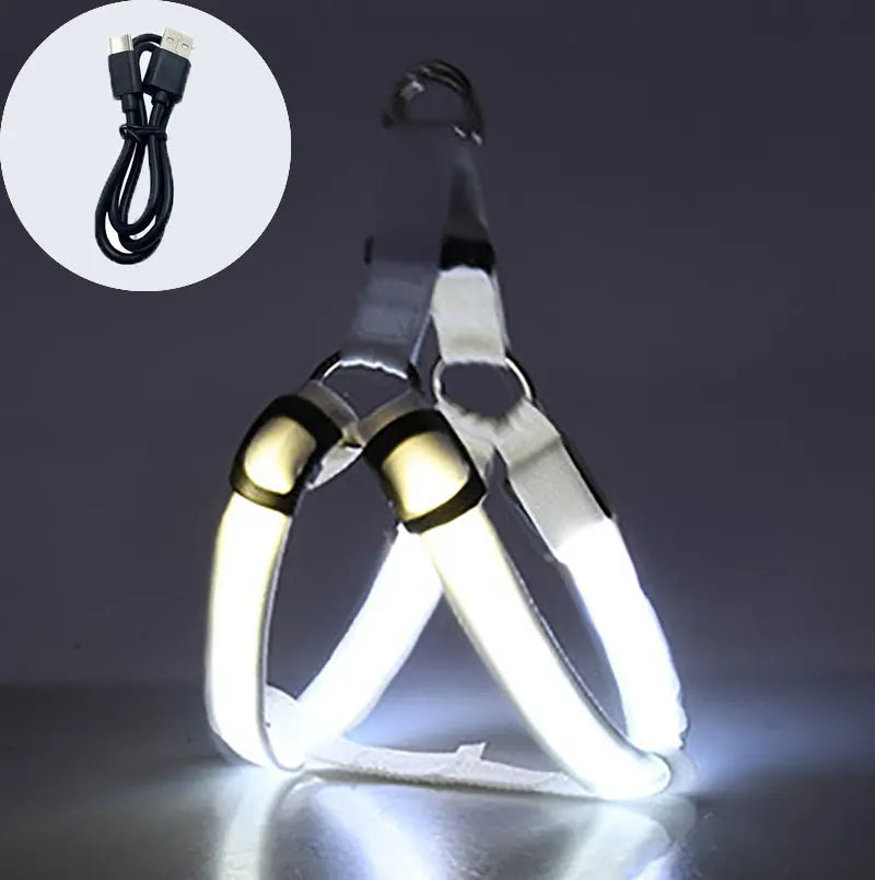 Coleira LED para Cães Tangorila
