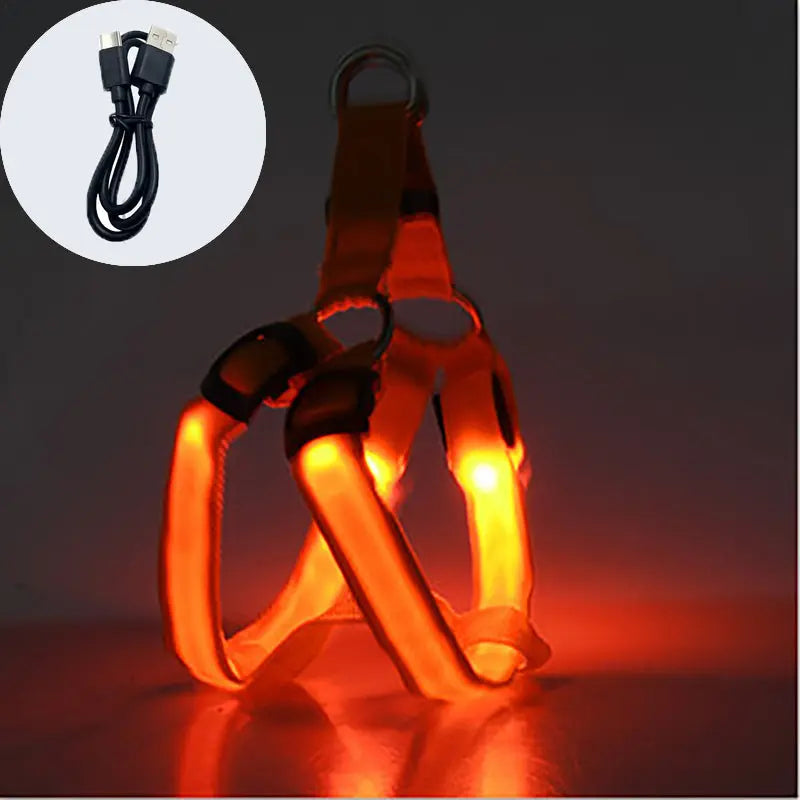 Coleira LED para Cães Tangorila