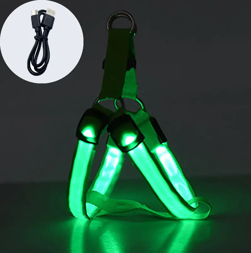 Coleira LED para Cães Tangorila