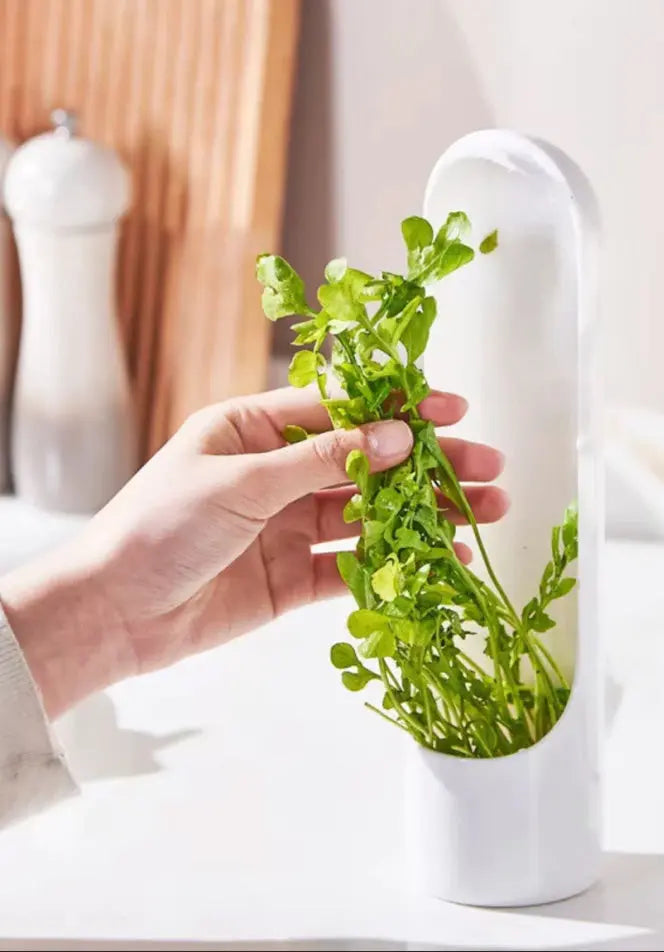 Conservador de Temperos Verduras EverFresh