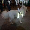 Coleira LED para Cães Tangorila