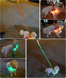 Coleira LED para Cães Tangorila