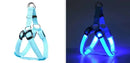 Coleira Luminosa para Cachorro - PetSafe Light Tangorila