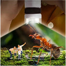 Microscópio Infantil Tangorila