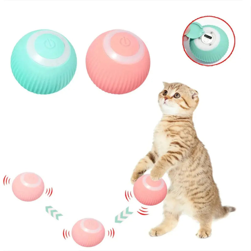 Bolinha Inteligente para Gatos - SmartBall Tangorila