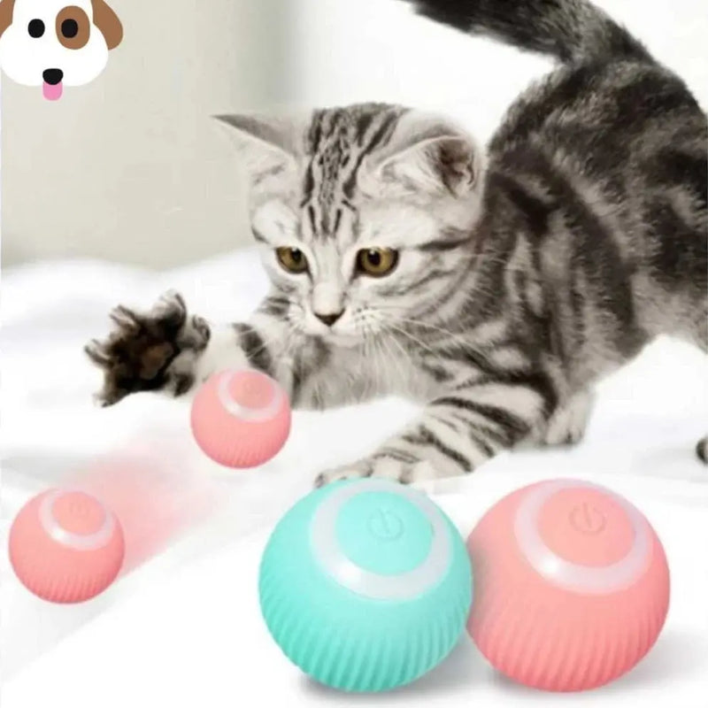 Bolinha Inteligente para Gatos - SmartBall Tangorila
