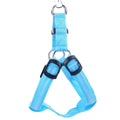 Coleira LED para Cães Tangorila