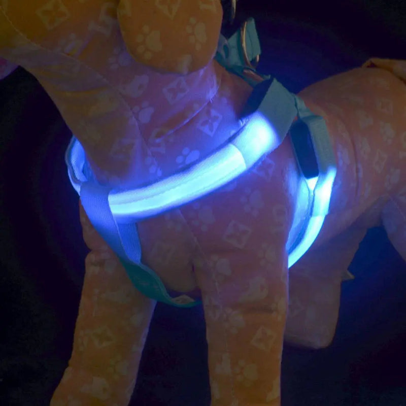 Coleira LED para Cães Tangorila