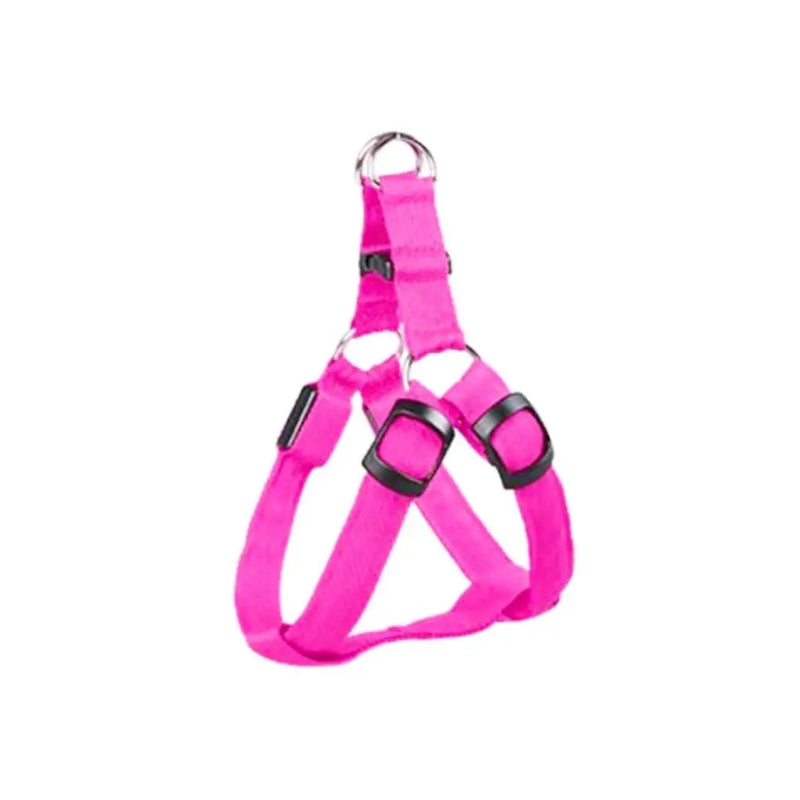 Coleira LED para Cães Tangorila