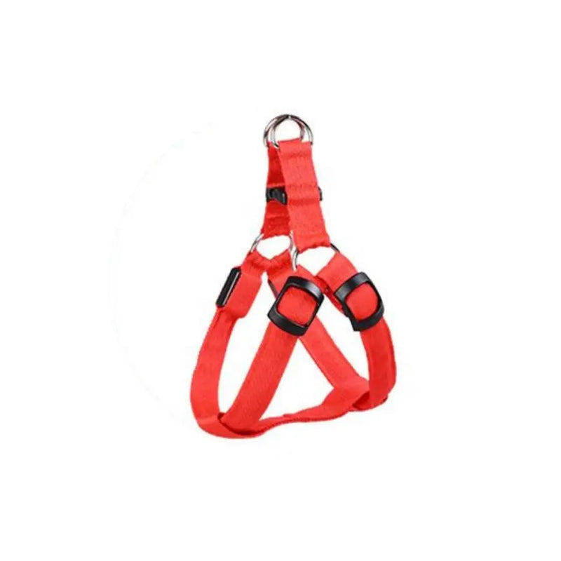 Coleira LED para Cães Tangorila