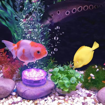 AquaLuz - Iluminação Led Para Piscina - Tangorila