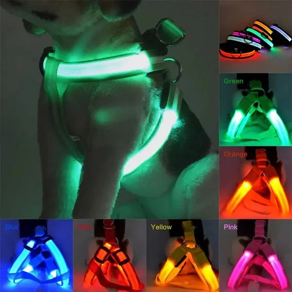 Coleira LED para Cães Tangorila