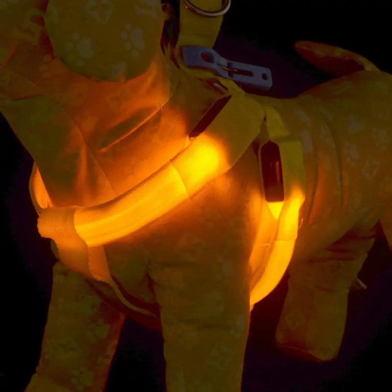 Coleira LED para Cães Tangorila