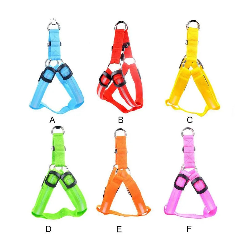 Coleira LED para Cães Tangorila