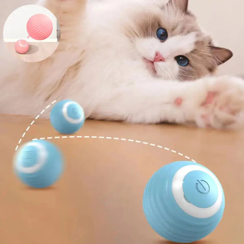 Bolinha Inteligente para Gatos - SmartBall Tangorila