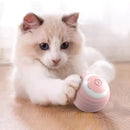 Bolinha Inteligente para Gatos - SmartBall Tangorila