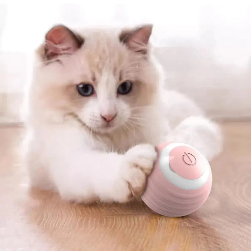 Bolinha Inteligente para Gatos - SmartBall Tangorila