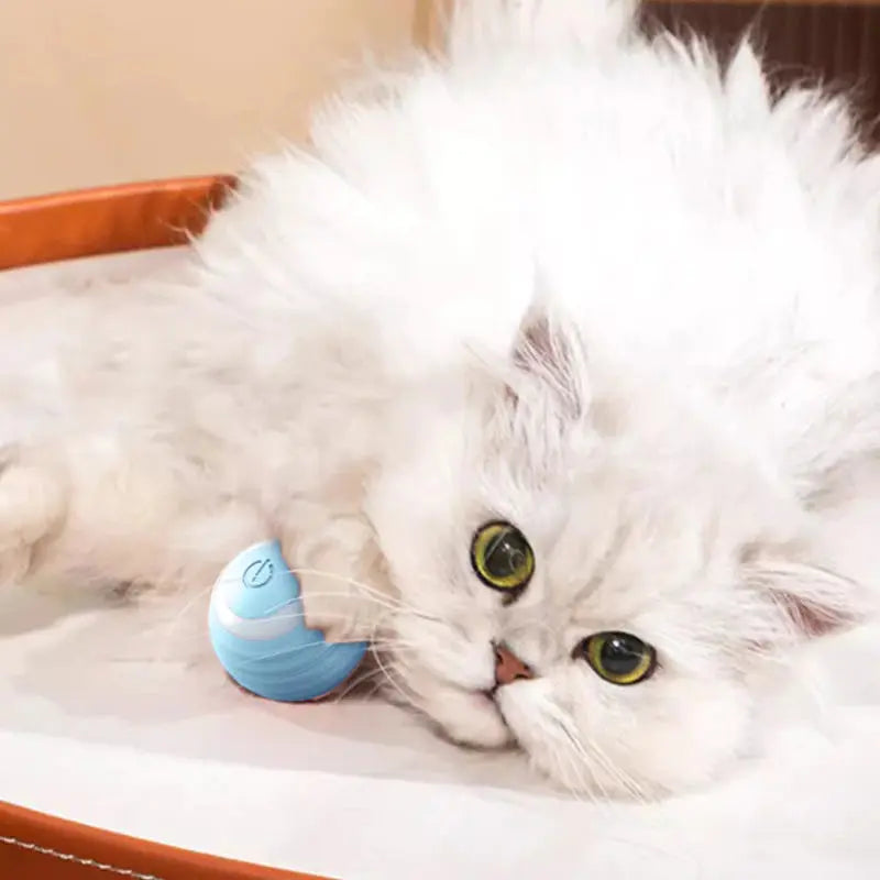 Bolinha Inteligente para Gatos - SmartBall Tangorila