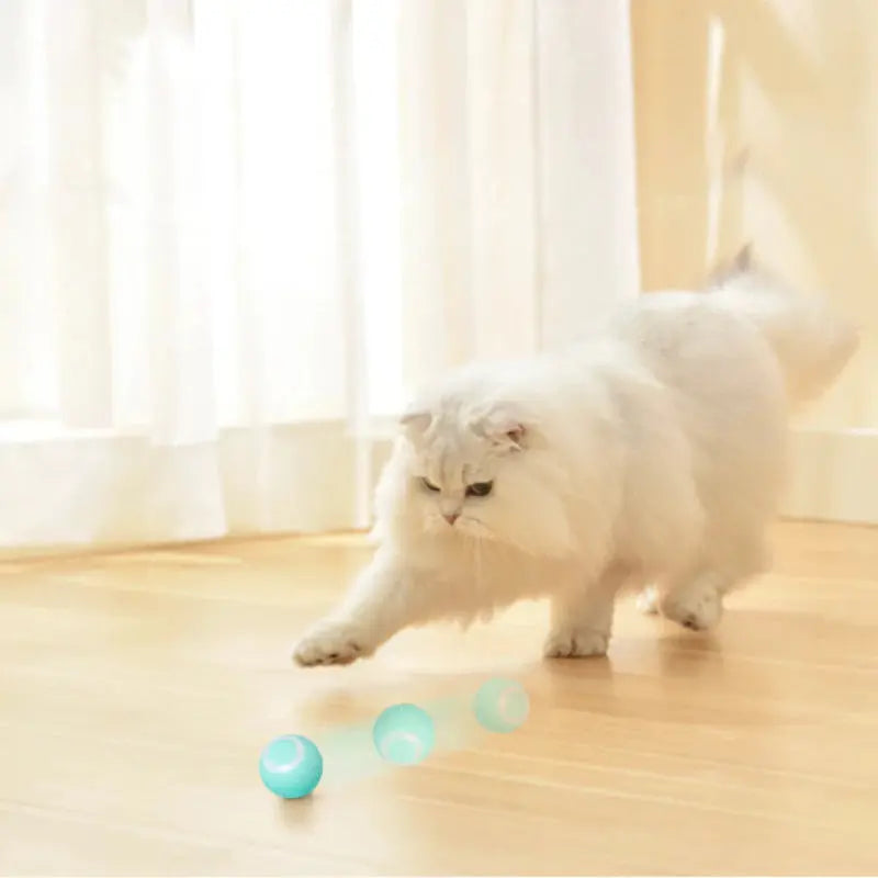 Bolinha Inteligente para Gatos - SmartBall Tangorila