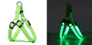 Coleira Luminosa para Cachorro - PetSafe Light Tangorila